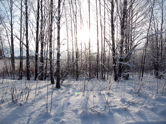 A DECADE OF URBAN DREAMS